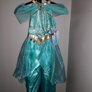 Jasmine Costume Disney